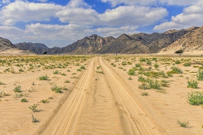 Safari nel Deserto di 3 ore a Marsa Alam