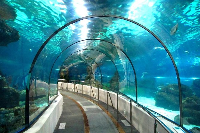 Grande Acquario Hurghada – Odissea subacquea