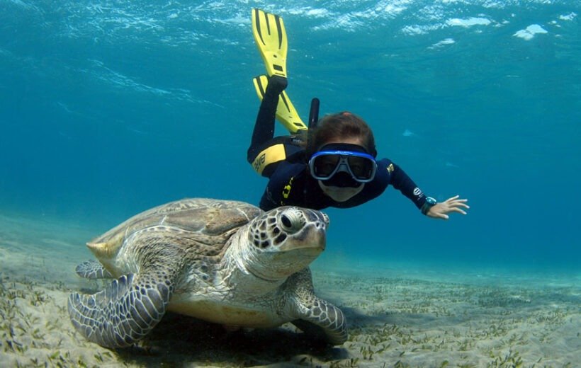 Tour di snorkeling ad Abu Dabbab da Marsa Alam - Avventura nella Baia delle Tartarughe