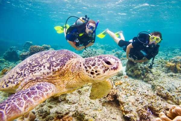 Intro Immersioni a Marsa Alam