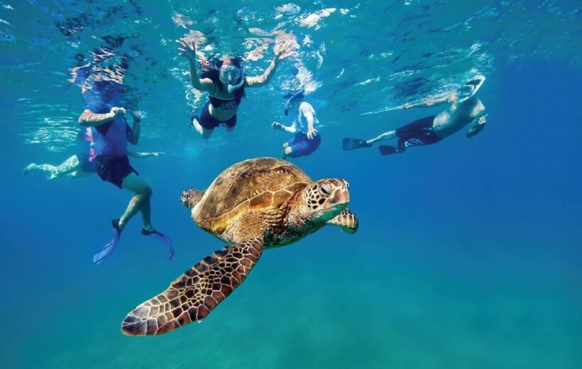 Escursioni snorkeling a Marsa Alam