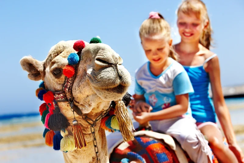 Escursioni comode a Sharm per famiglie con bambini