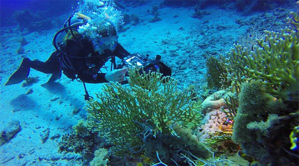 Ras Um Sid a Sharm El Sheikh