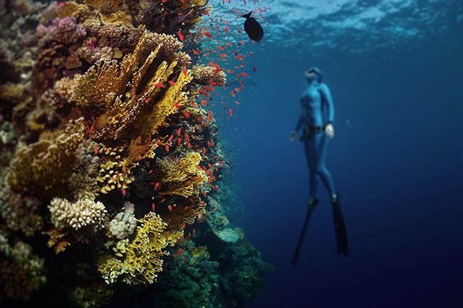 Apnea a Marsa Alam