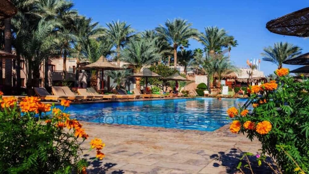 escursioni tamra beach sharm